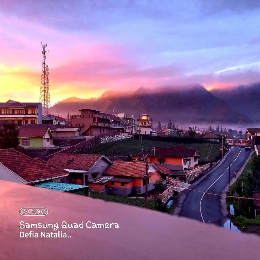 Bromo Deddy Homestay Exteriér fotografie