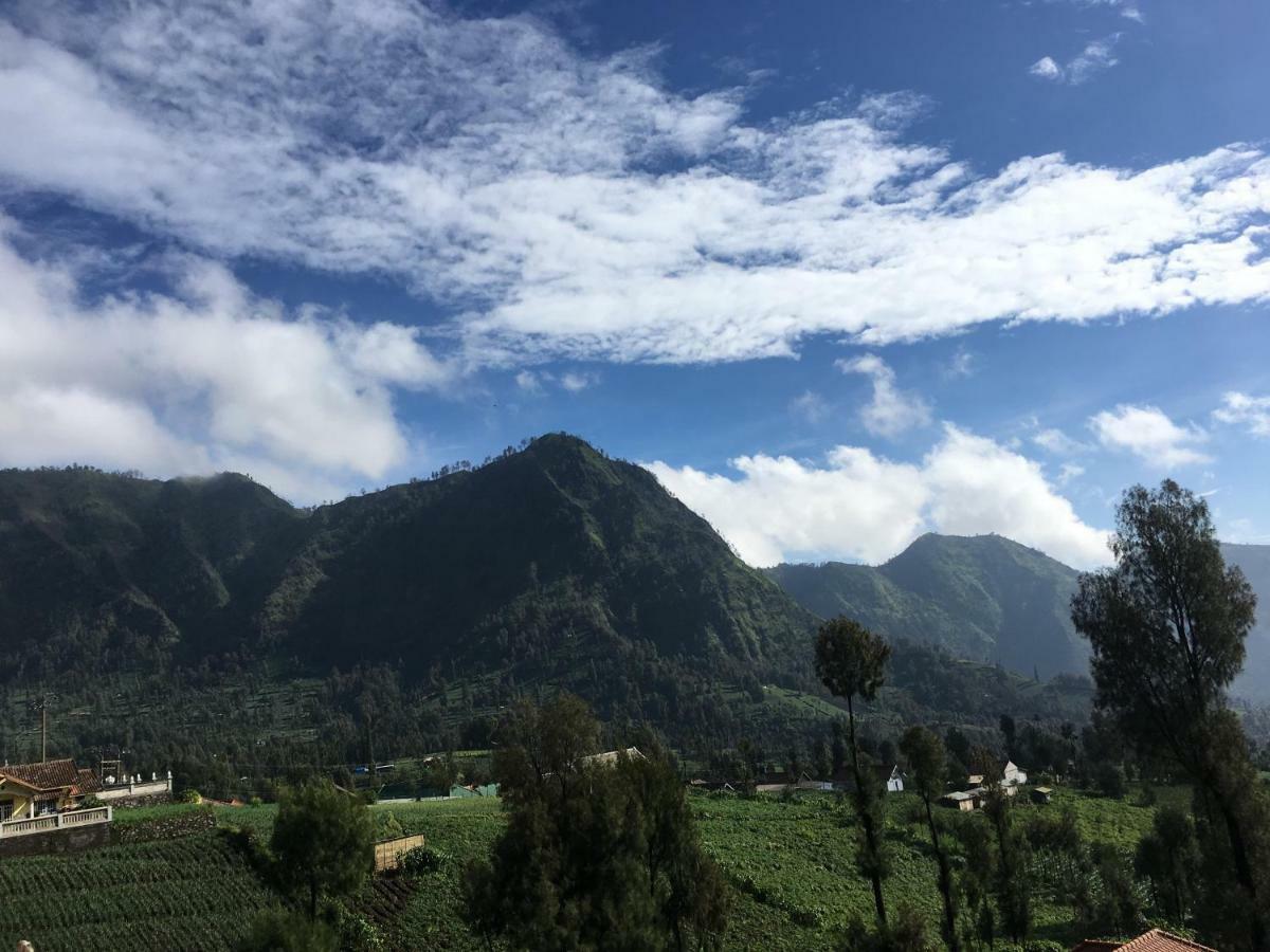 Bromo Deddy Homestay Exteriér fotografie