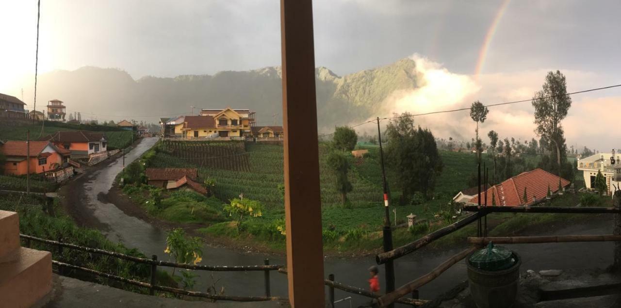 Bromo Deddy Homestay Exteriér fotografie